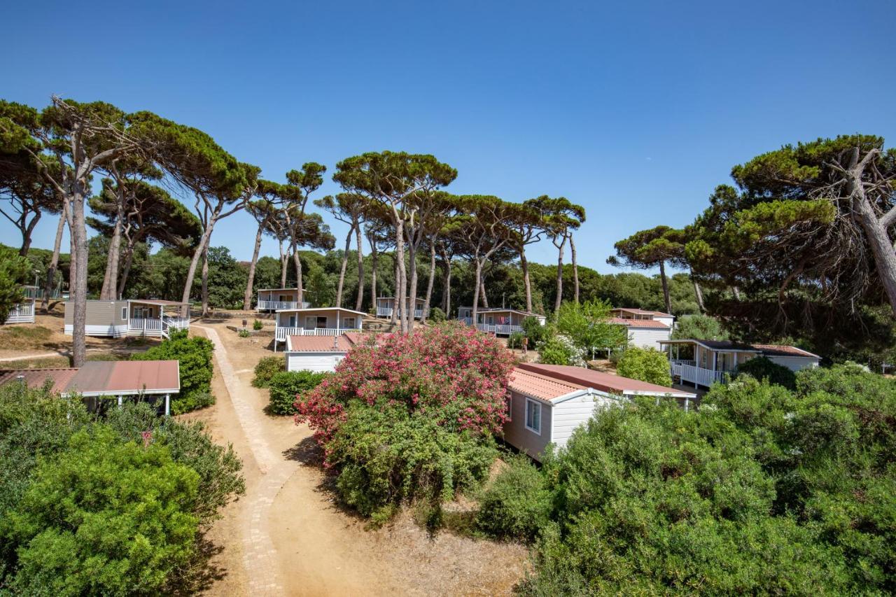 Parco Della Gallinara Lido dei Pini Ngoại thất bức ảnh