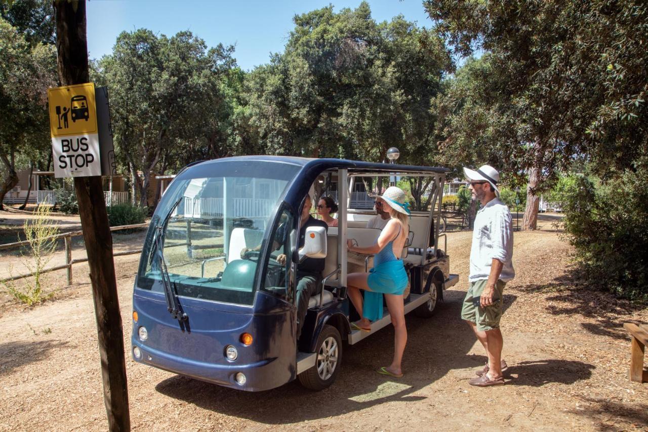 Parco Della Gallinara Lido dei Pini Ngoại thất bức ảnh