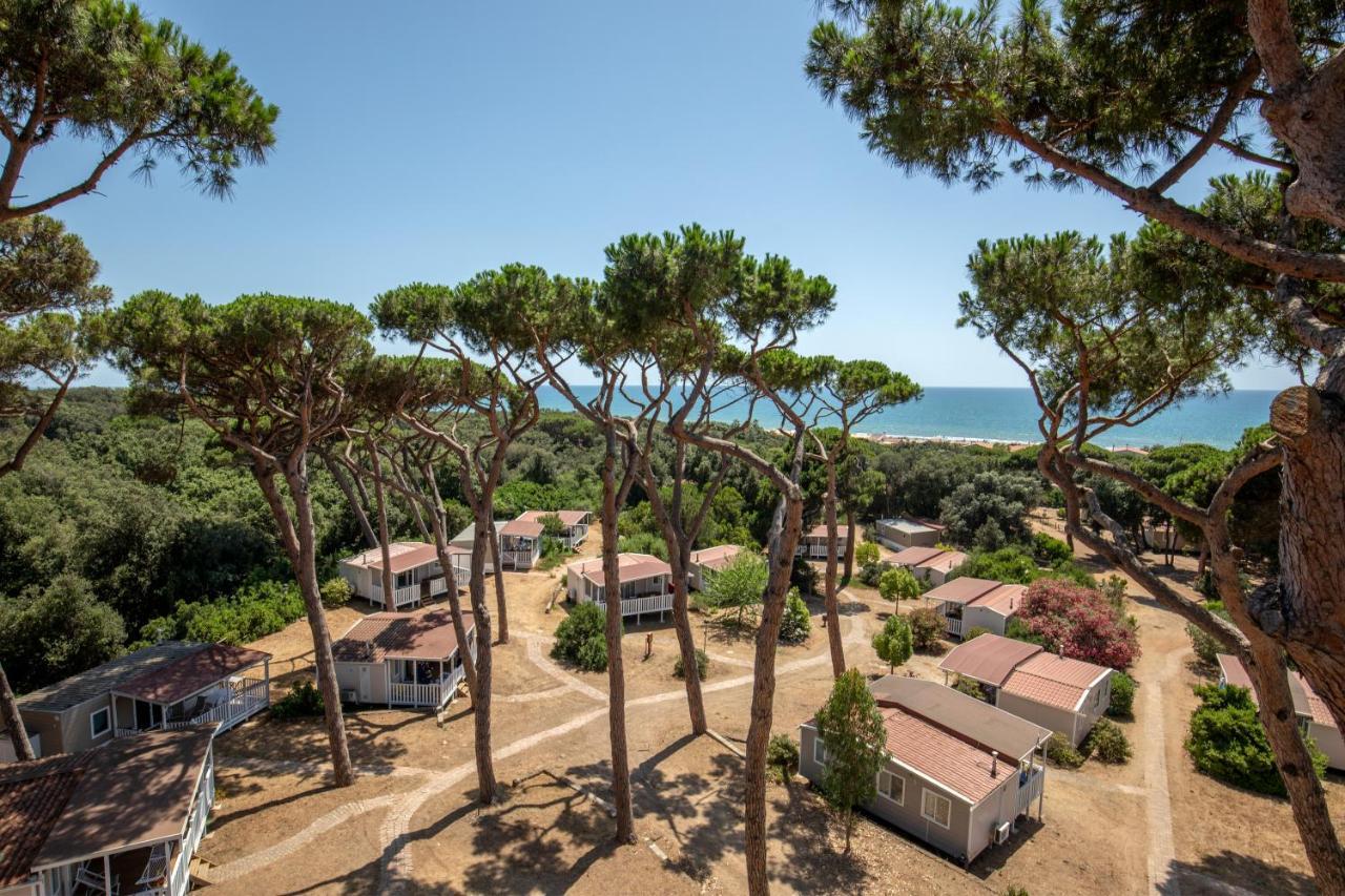 Parco Della Gallinara Lido dei Pini Ngoại thất bức ảnh